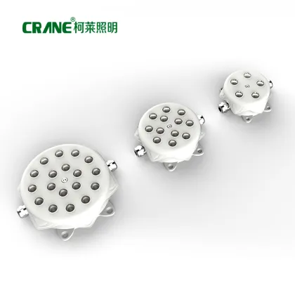 Gorgeous Waterproof Smart LED Point Lights for Holiday Outdoor Lighting