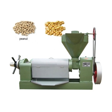 Mini Olive Oil Squeezer Machine: Compact Oil Extraction Solution