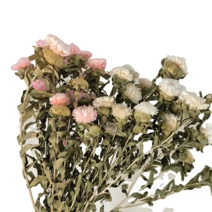 Daisy Party Decoration: Real Dry Flower Arrangements in White and Pink