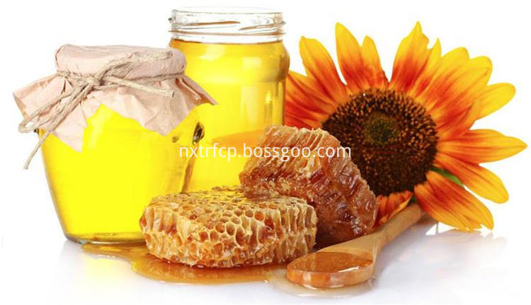 Sunflower Honey 6