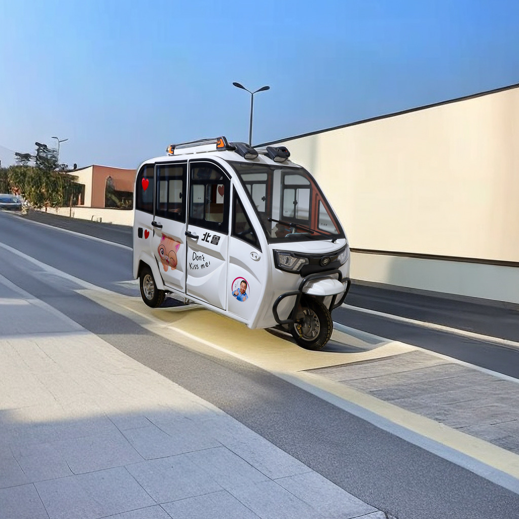 Small Passenger Tricycle