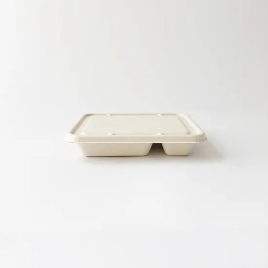 3 Compartment Bagasse Tray rectangular food container
