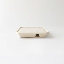 3 Compartiment Bagasse Tray rechthoekige voedselcontainer