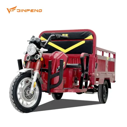 Big Battery 3-Wheel Electric Cargo Tricycle