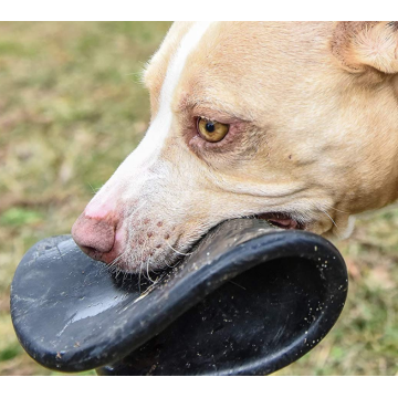 Cão frisbee durável borracha natural