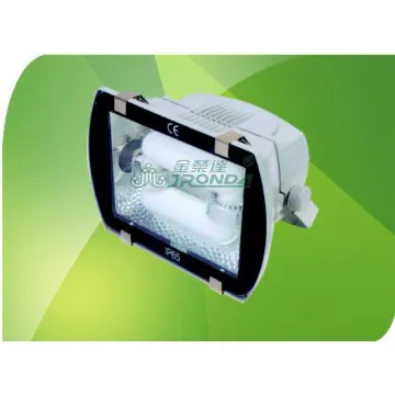 Induction Lamp Floodlight