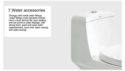 The development of the toilet