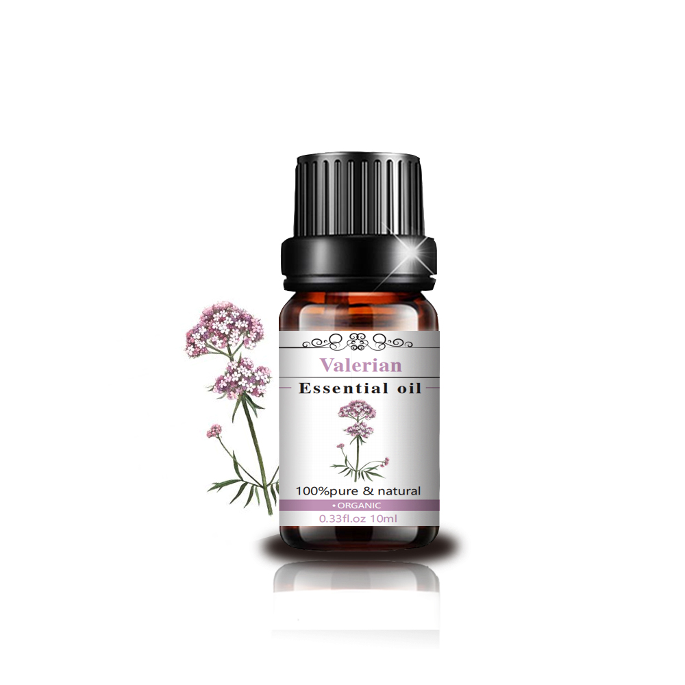 100% Pure Natural Food Grade Valerian Essential Oil Good Price