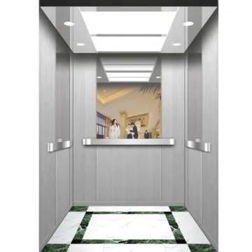 Professional Elevator Supplier for Cheap Price Home Lifts in Villas (320KG/400KG)