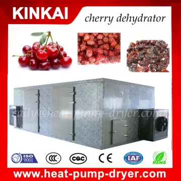 Commercial dried small fruit drying processing machine/fruit dehydrator
