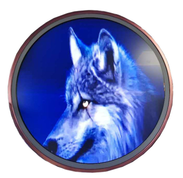 23.6 Inch Round Monitor: Circular LCD Screen for Advertising Displays
