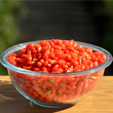 Size 500 Conventional Goji Berry