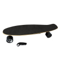 4 hjul monterar CE Longboard Skateboards