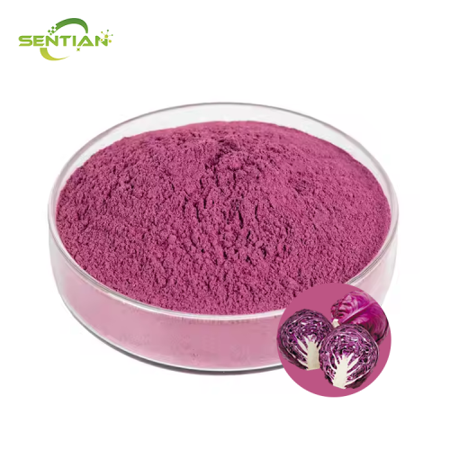 High-quality food-grade purple cabbage powder