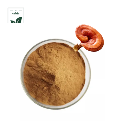 100% pure organic Reishi Mushroom Extract