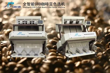Cocoa beans sorting machine remove bad beans competitive price!!