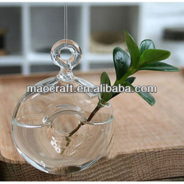 hanging air plant glass donut vase