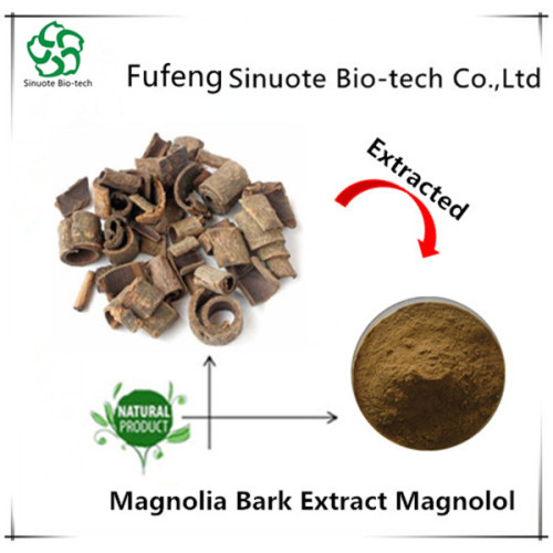 Suppléments à base de plantes Magnolia Bark Extract Powder