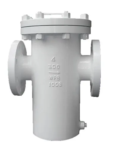 WPB Basket Type Strainer
