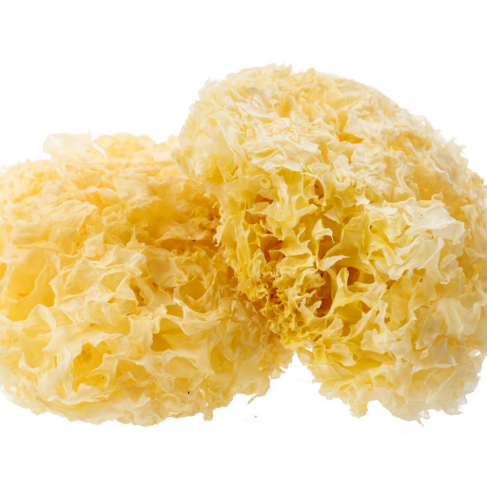 Delicioso fungo de orelha prateada