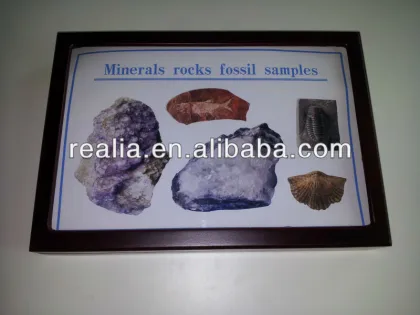 Minerals rocks fossil specimen