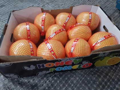 Fresh Pomelo New Crop