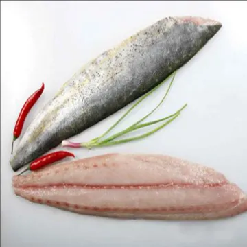 Frozen mahi mahi fish  fillet Coryphaena hippurus