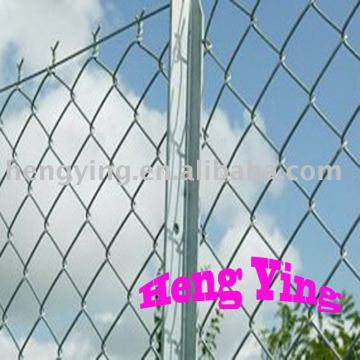 wire mesh fence(factory)
