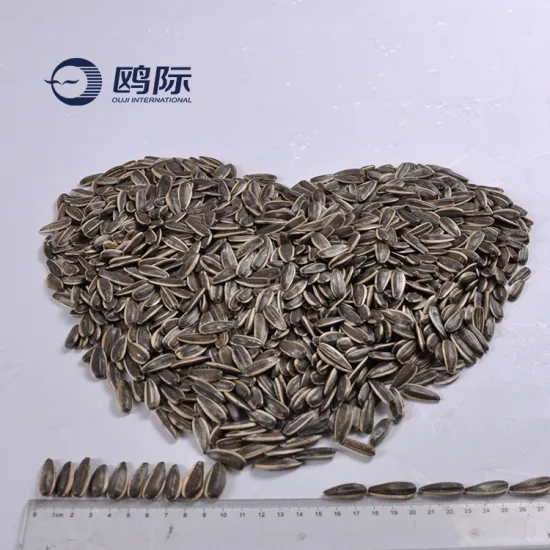 confectionery importer inshell sunflower seed grow