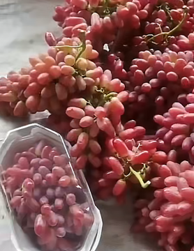 Red Seedless Table Grape Wholesale