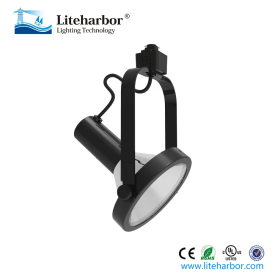 Line voltage die cast aluminum LED Par38 track ceiling lights