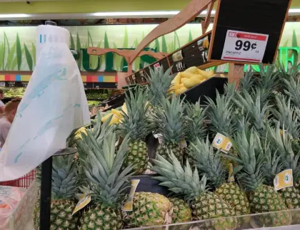 Plastic Fresh Keeping Bag