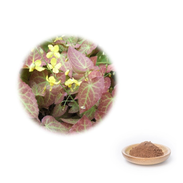 Extracto de knotweed gigante en alimentos y bebidas