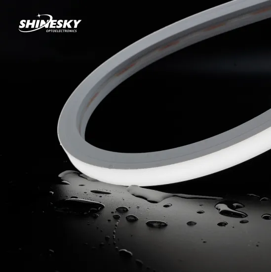 SHINESKY Outdoor Waterproof DMX512 Neon Strip Light