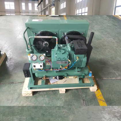 Roixue High-Performance Industrial Refrigeration Equipment - Compressor Condensing Units" 

(Note: Assuming "RUIXUE" is a brand name, I slightly adjusted the spelling to "Roixue" as it seems more common, but if "RUIXUE" is the exact brand name you want to