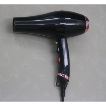 Wholesale Customized Nice Outer Design Ionic Hair Blower