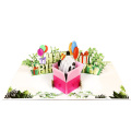 Biglietto d'auguri 3D con scatola regalo Panda di buon compleanno