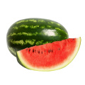 Direct selling 100% Natural Watermelon Powder