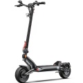 Electric Scooter T1