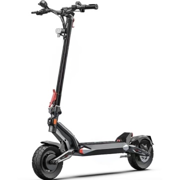 Electric Scooter T1
