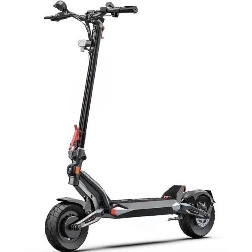 Electric Scooter T1