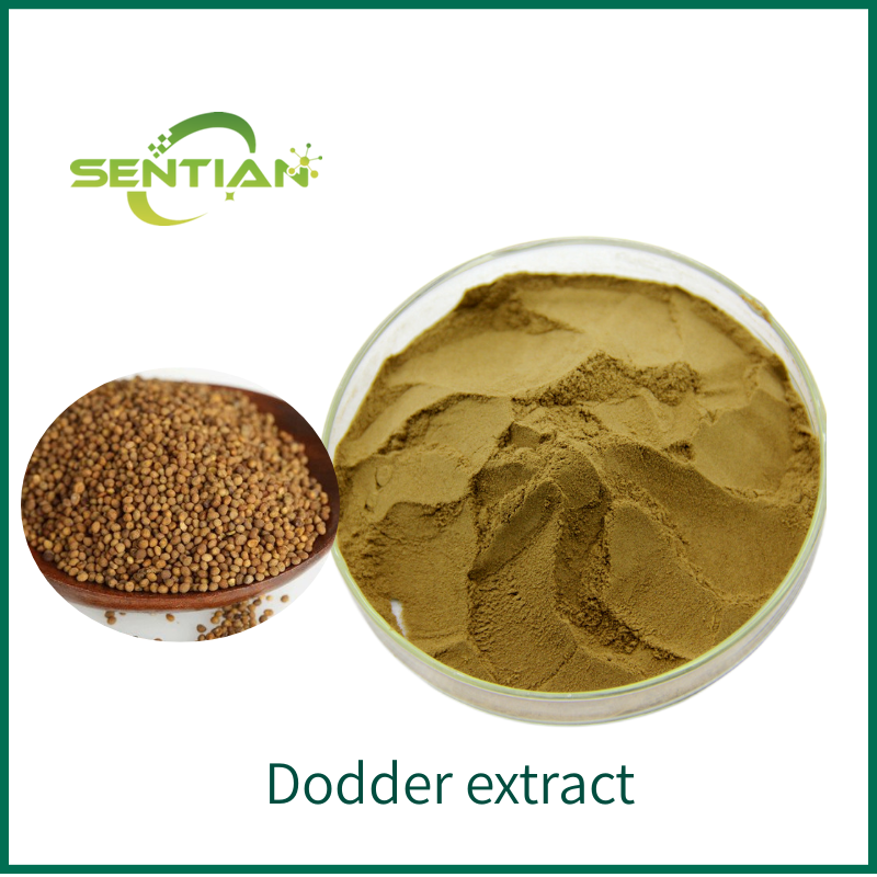 Chinese Dodder Seed Extract Powder