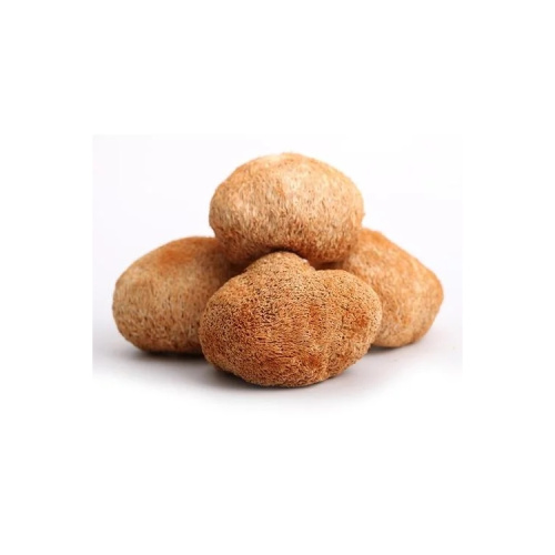 Animal Husbandry Materials Provide Food Grade Lions Mane Mushroom Extract Powder Supplier