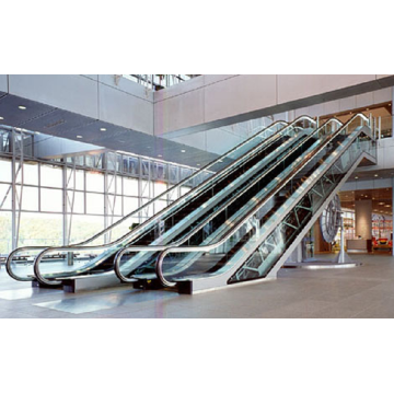 Escalator With 600mm to 800mm 1000mm Steps Sidth