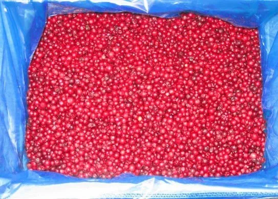 Frozen Lingonberry