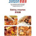 Food grade fungal amylase enzyme for baking