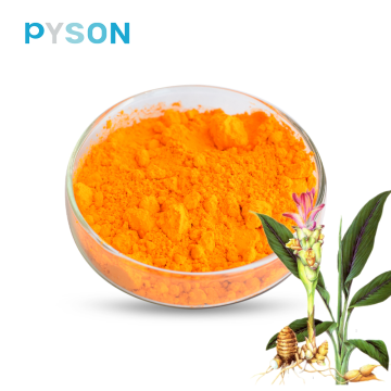 Turmeric Extract Curcuminoids 95% HPLC protect the liver