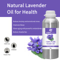 Potente fabricación de aceite esencial violeta para el tratamiento del cabello y la aromaterapia