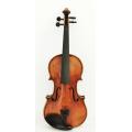 High Grade Professional Handmade Oil Painting Violin