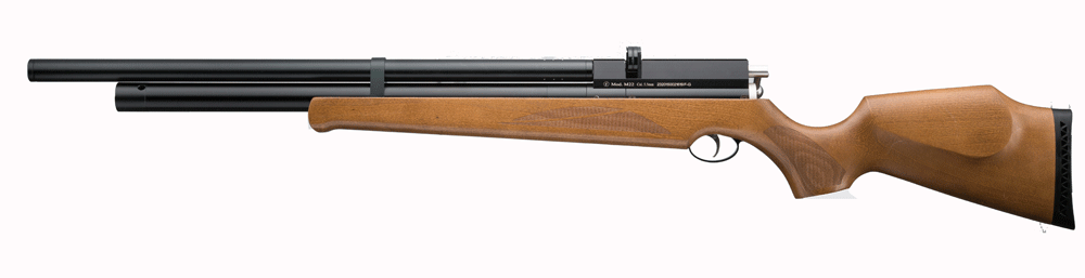 PCP Air Rifle M22